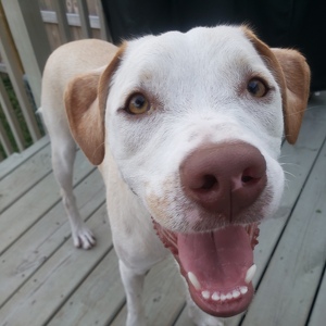 Fundraising Page: Beth Fayant